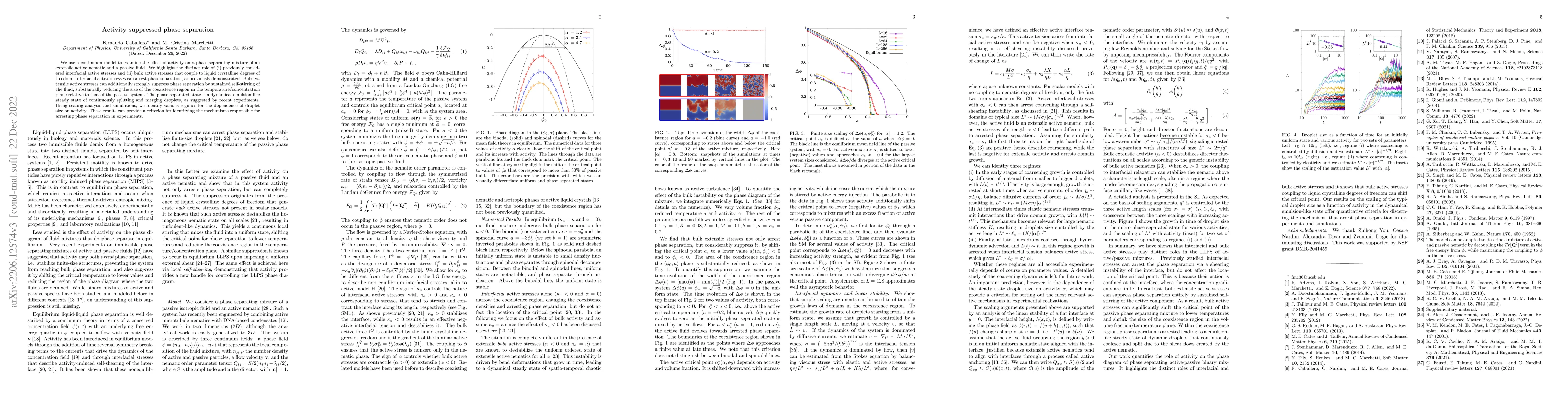 Thumbnail for Activity-suppressed phase separation