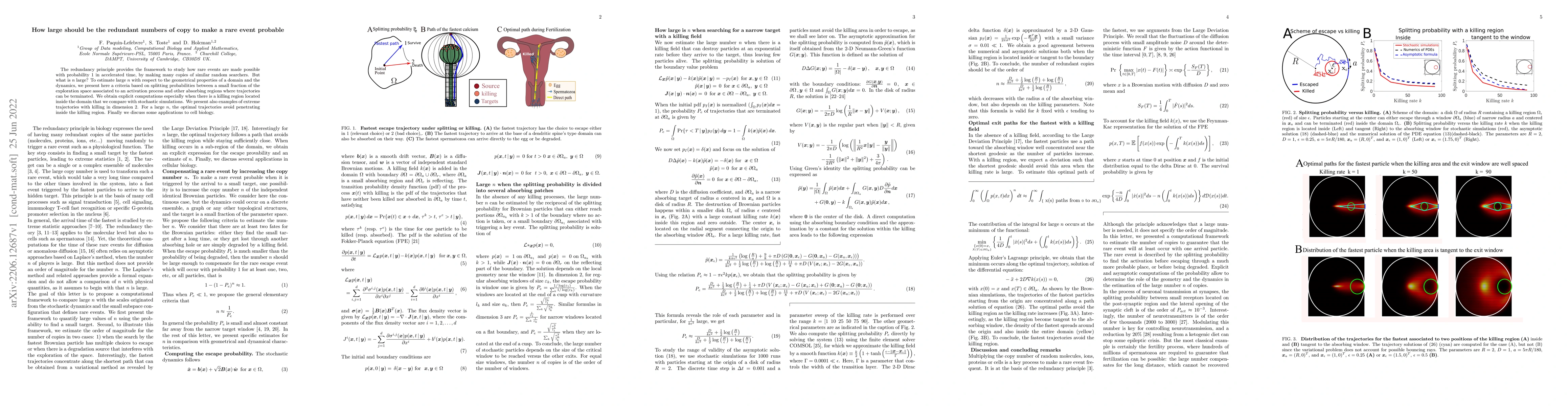 Thumbnail for How large should be the redundant numbers of copy to make a rare event
  probable