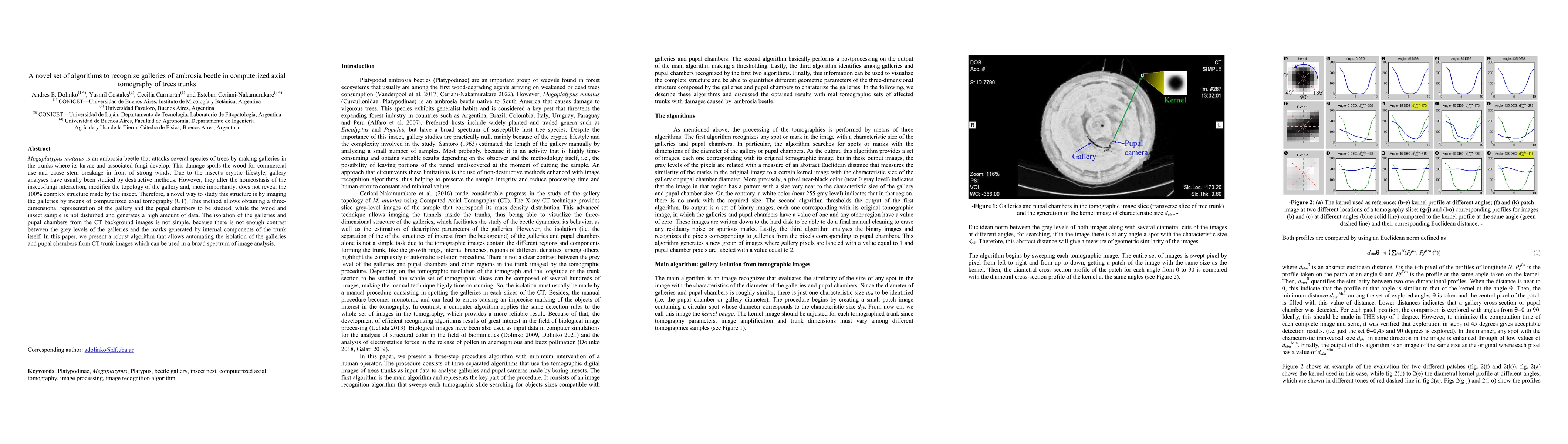 Thumbnail for A novel set of algorithms to recognize galleries of ambrosia beetle in
  computerized axial tomography of trees trunks