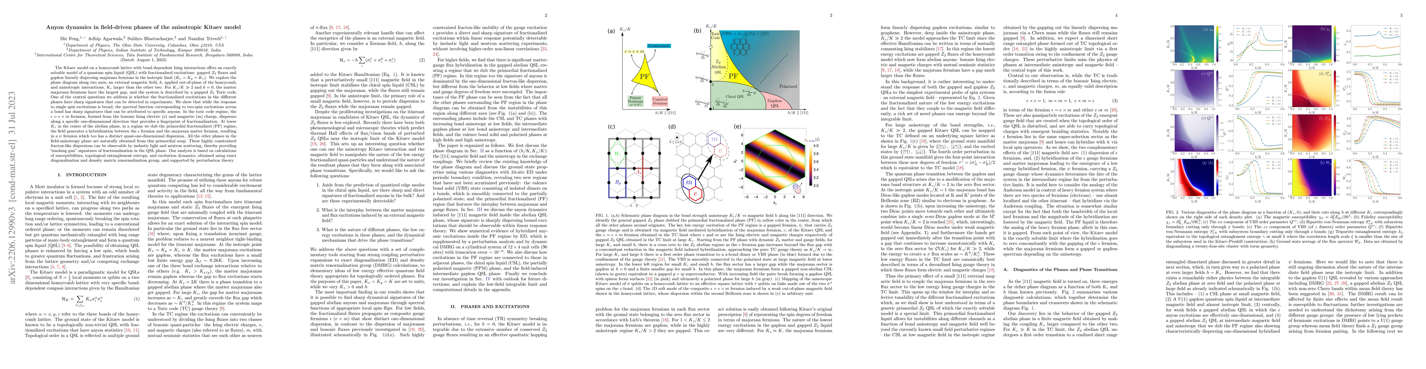 Thumbnail for Anyon dynamics in field-driven phases of the anisotropic Kitaev model