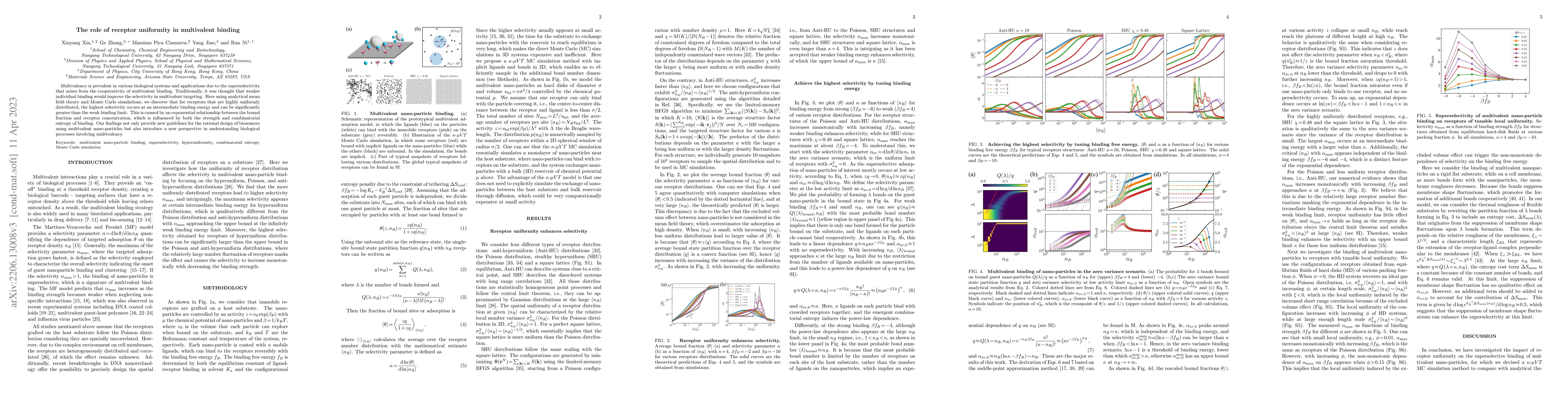 Thumbnail for The role of receptor uniformity in multivalent binding