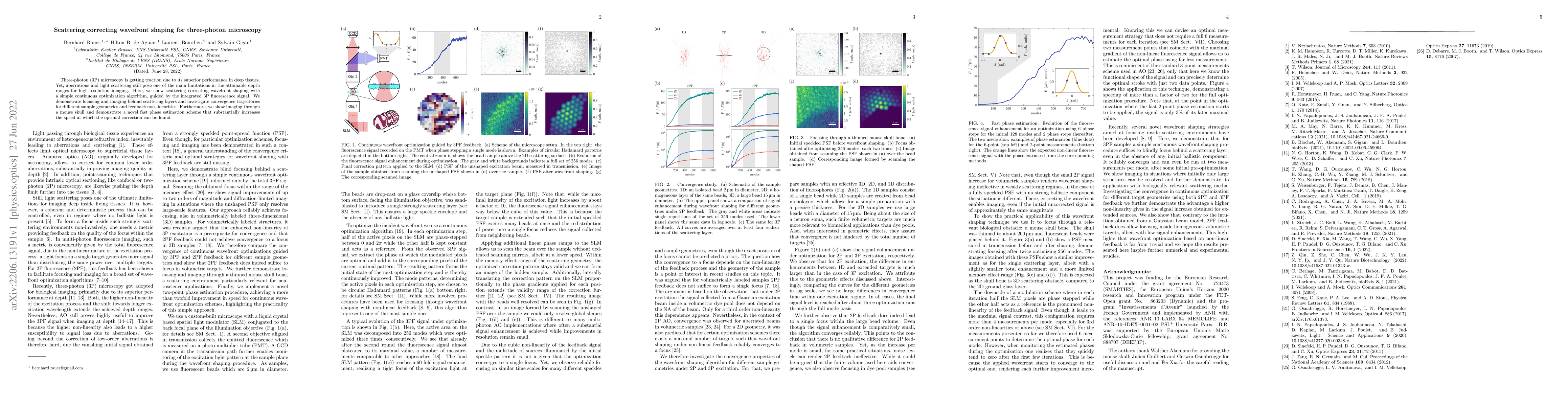 Thumbnail for Scattering correcting wavefront shaping for three-photon microscopy