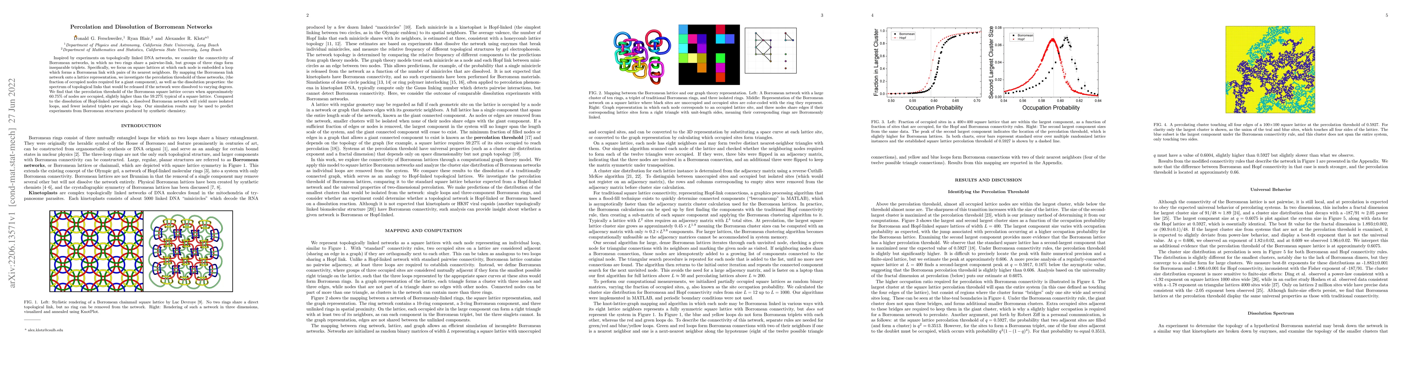 Thumbnail for Percolation and Dissolution of Borromean Networks