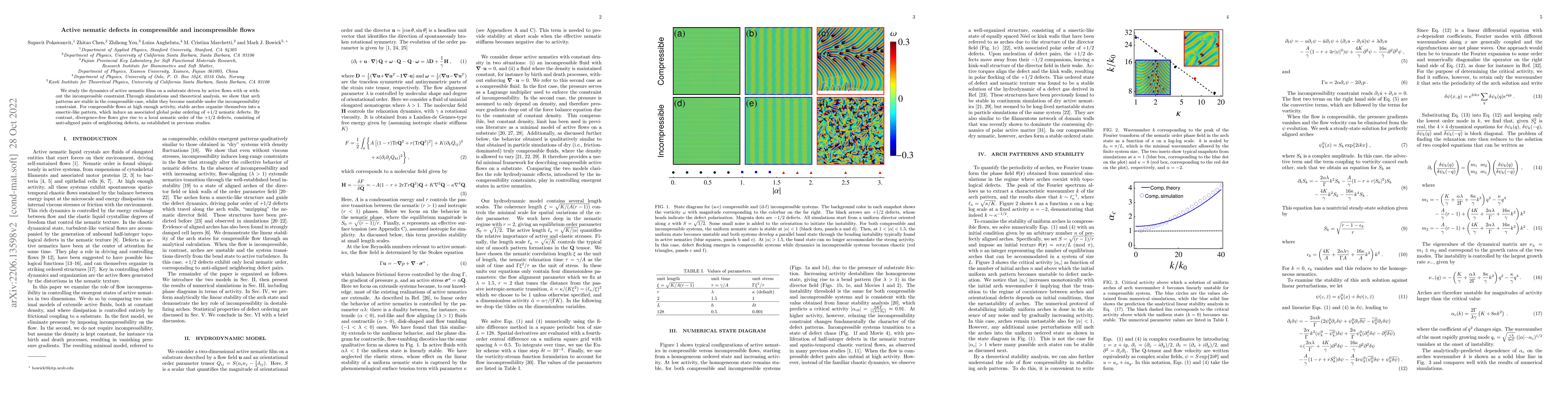 Thumbnail for Active nematic defects in compressible and incompressible flows