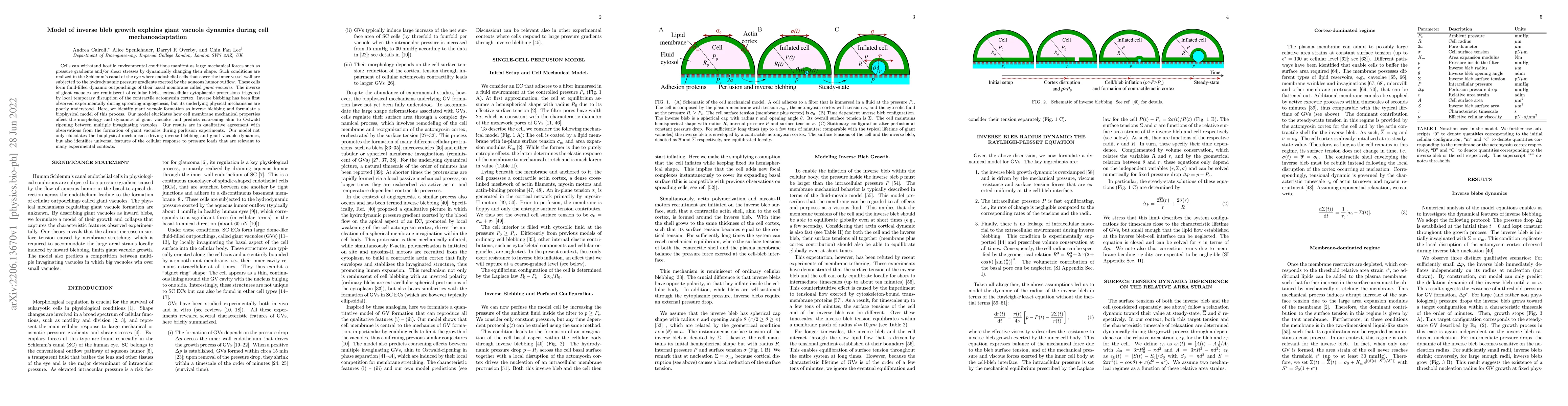 Thumbnail for Model of inverse bleb growth explains giant vacuole dynamics during cell
  mechanoadaptation