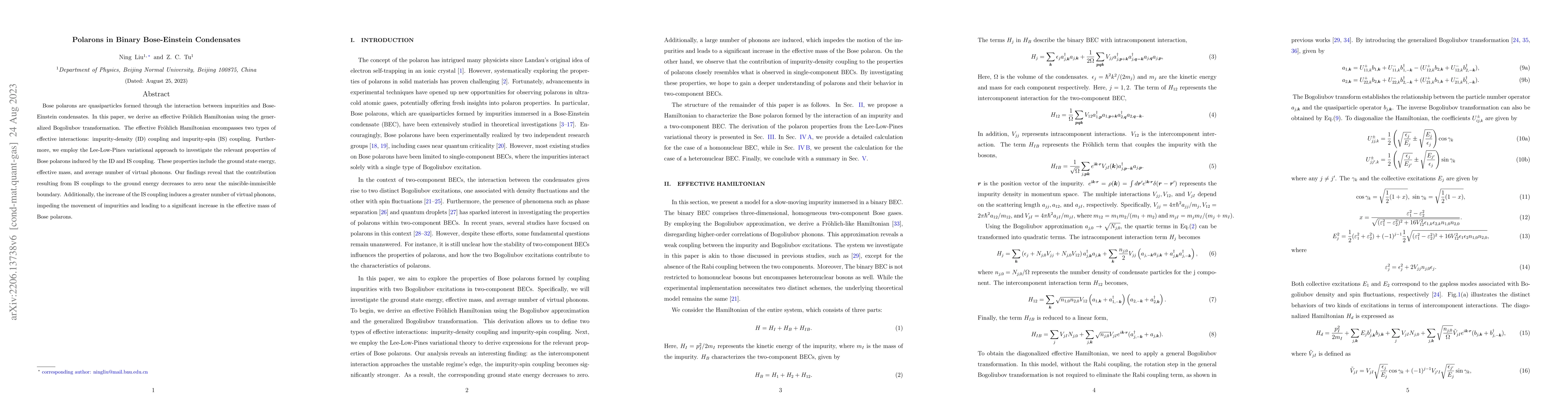 Thumbnail for Polarons in Binary Bose-Einstein Condensates