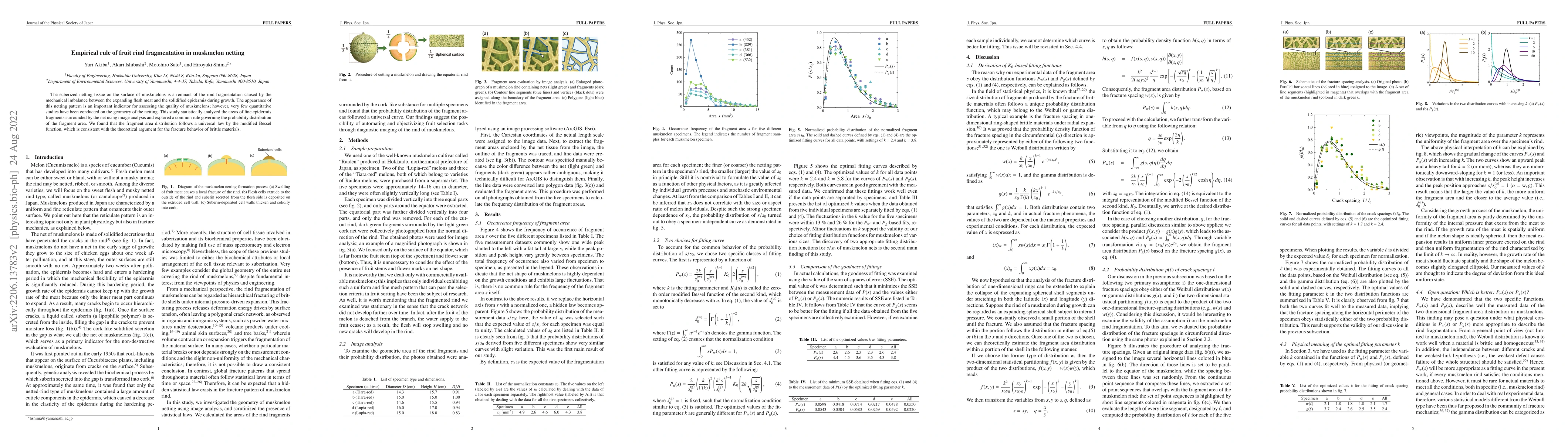 Thumbnail for Empirical rule of fruit rind fragmentation in muskmelon netting