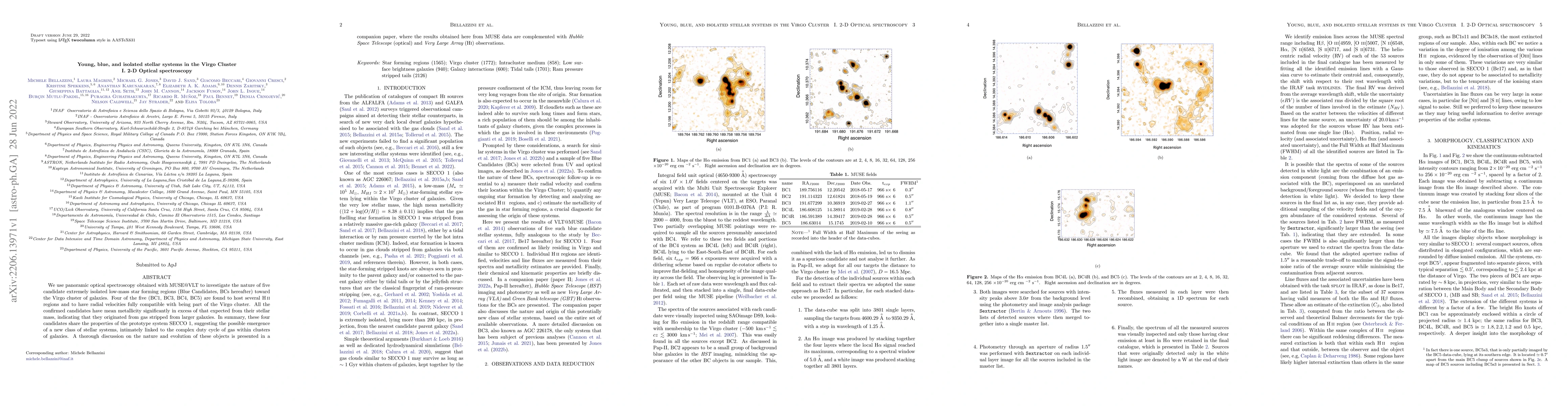 Thumbnail for Young, blue, and isolated stellar systems in the Virgo Cluster. I. 2-D
  Optical spectroscopy
