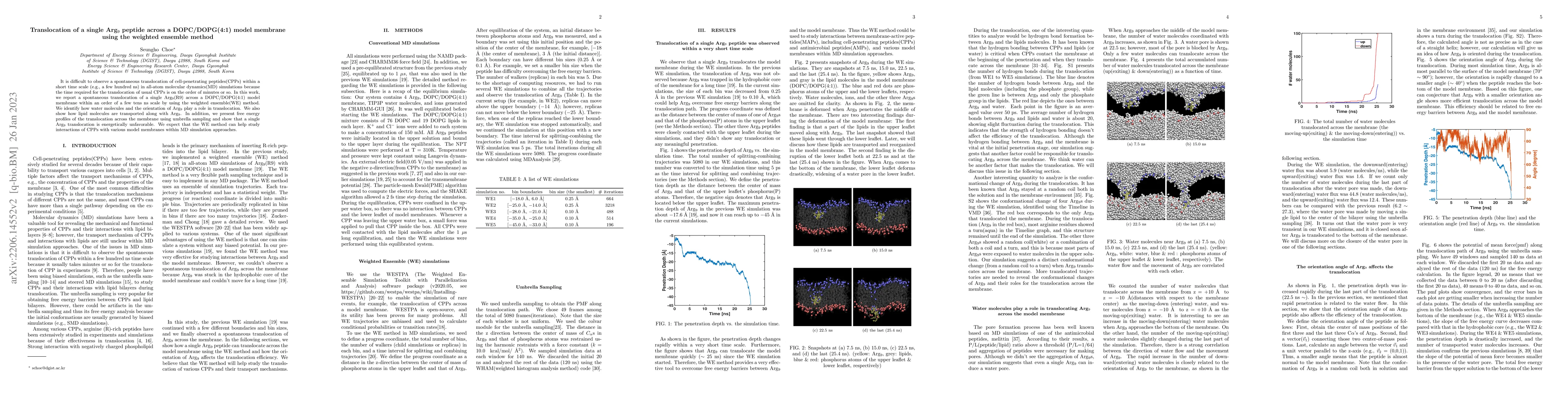 Thumbnail for Translocation of a single Arg9 peptide across a DOPC/DOPG(4:1) model
  membrane using the weighted ensemble method
