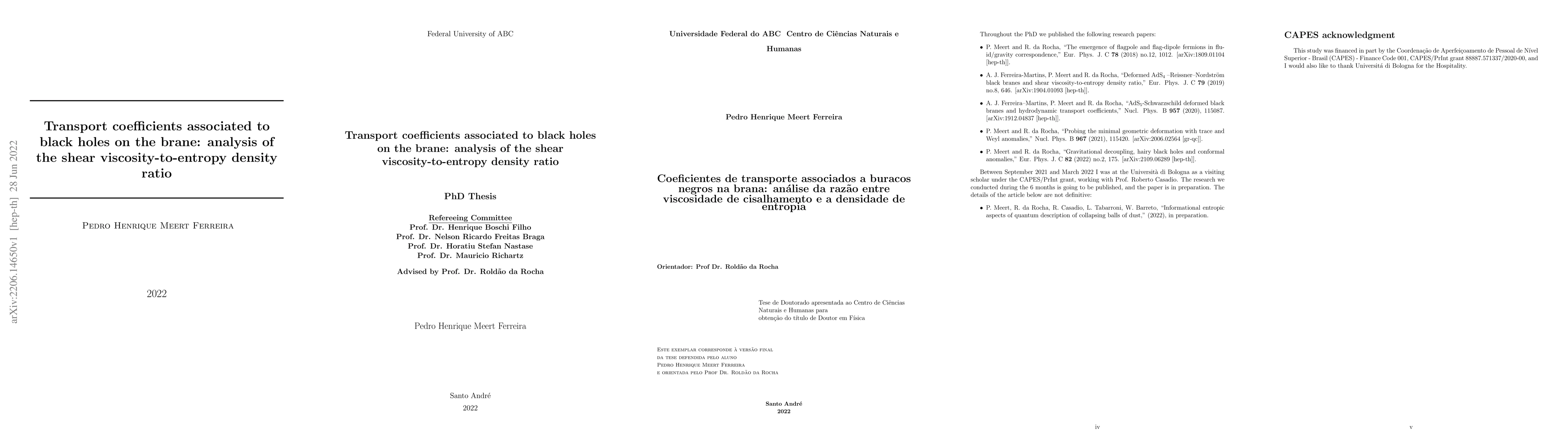 Thumbnail for Transport coefficients associated to black holes on the brane: analysis
  of the shear viscosity-to-entropy density ratio