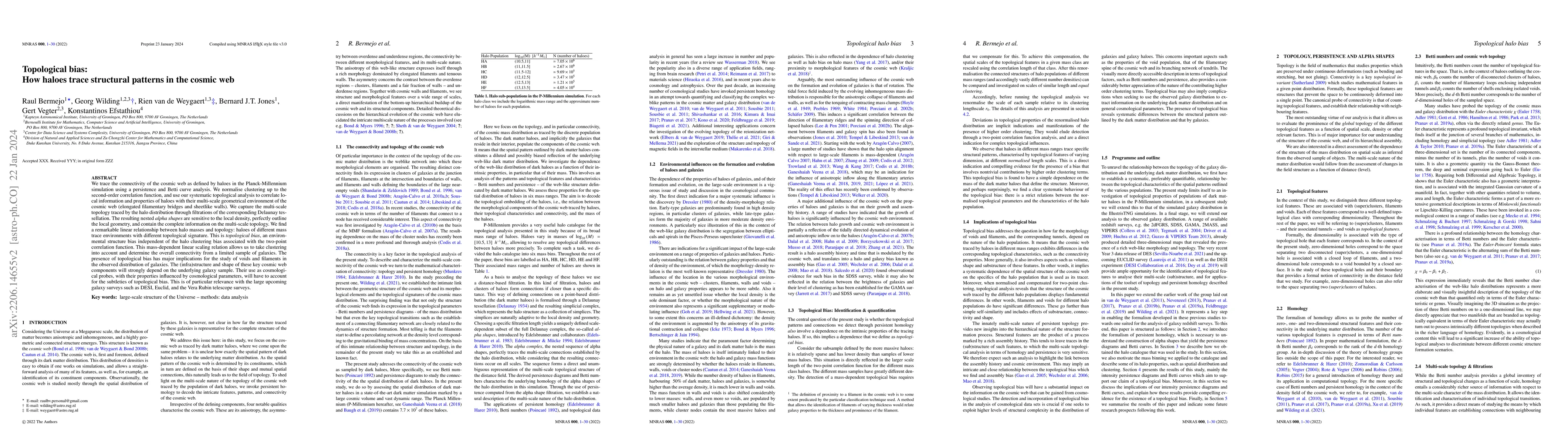 Thumbnail for Topological bias: How haloes trace structural patterns in the cosmic web