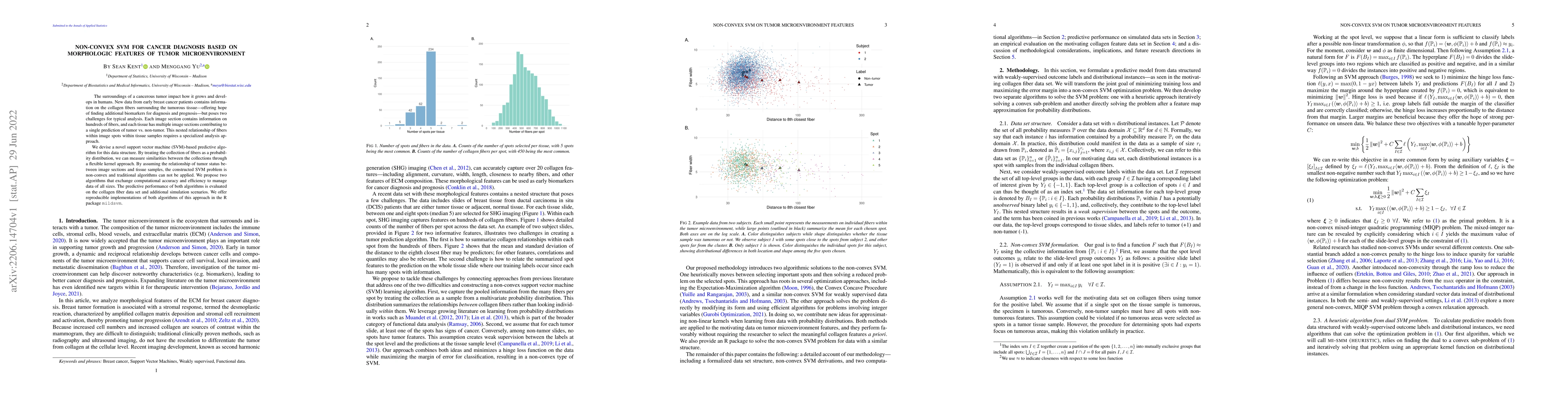 Thumbnail for Non-convex SVM for cancer diagnosis based on morphologic features of
  tumor microenvironment