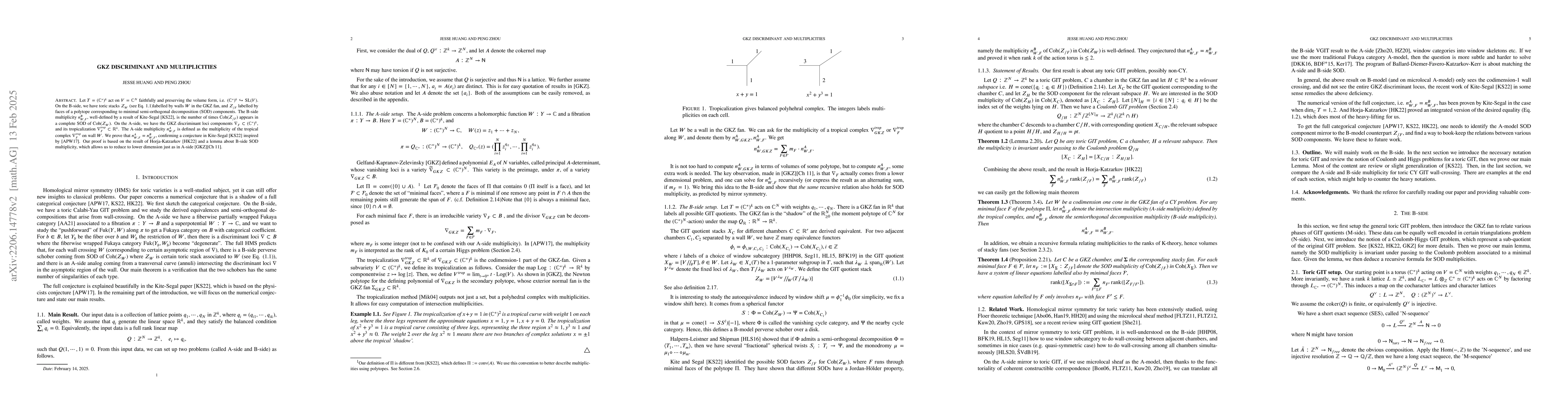 Thumbnail for GKZ discriminant and Multiplicities