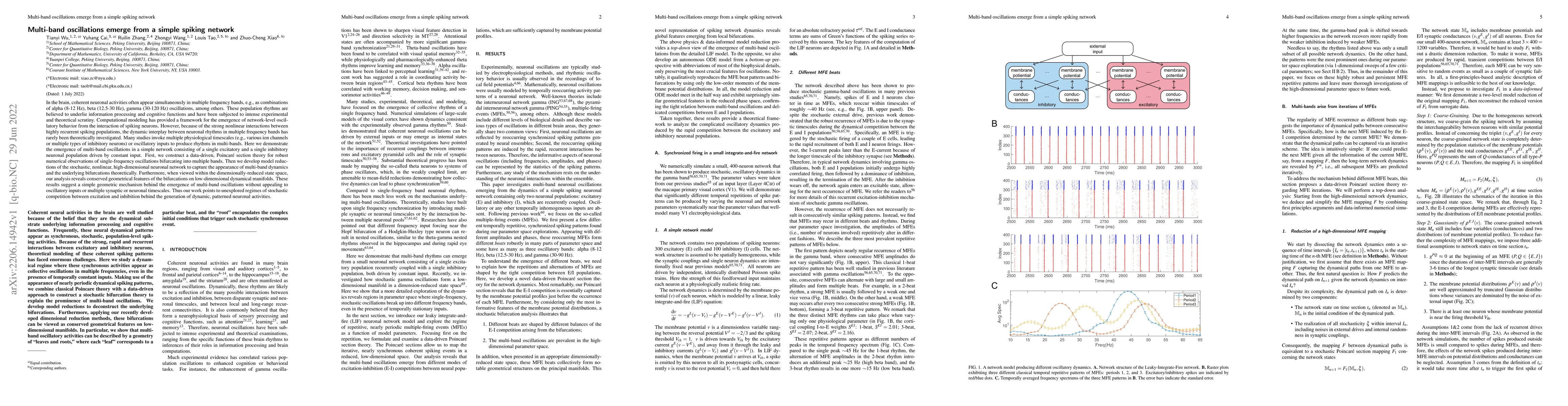 Thumbnail for Multi-band oscillations emerge from a simple spiking network