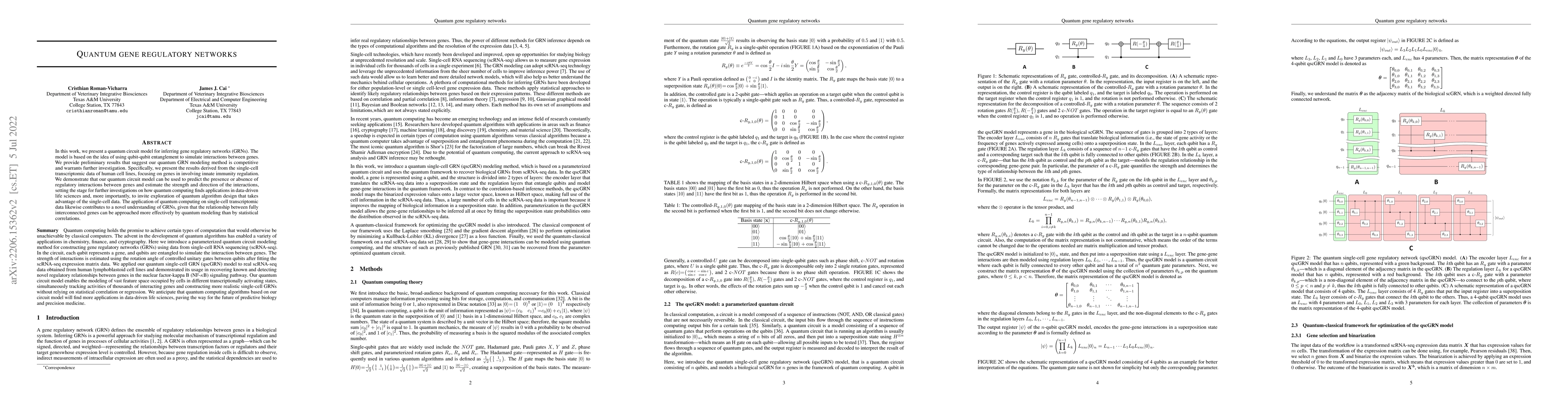 Thumbnail for Quantum gene regulatory networks