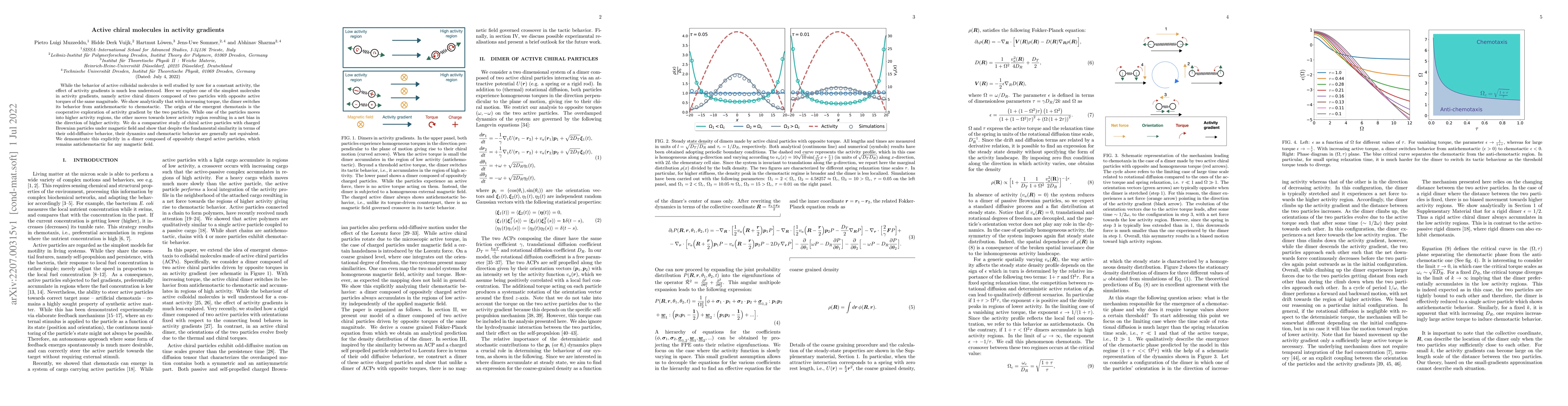 Thumbnail for Active chiral molecules in activity gradients