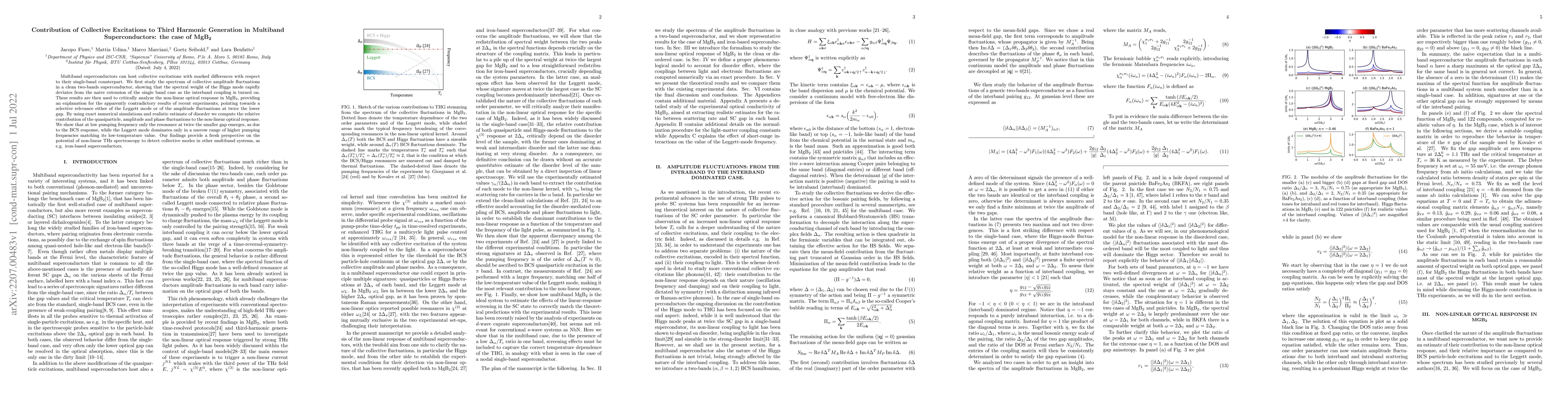 Thumbnail for Contribution of Collective Excitations to Third Harmonic Generation in
  Multiband Superconductors: the case of MgB$_2$