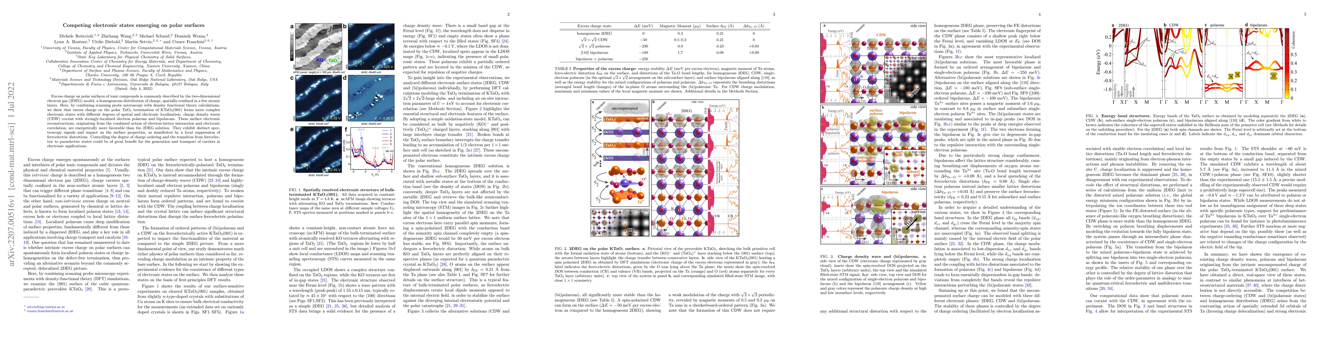 Thumbnail for Competing electronic states emerging on polar surfaces