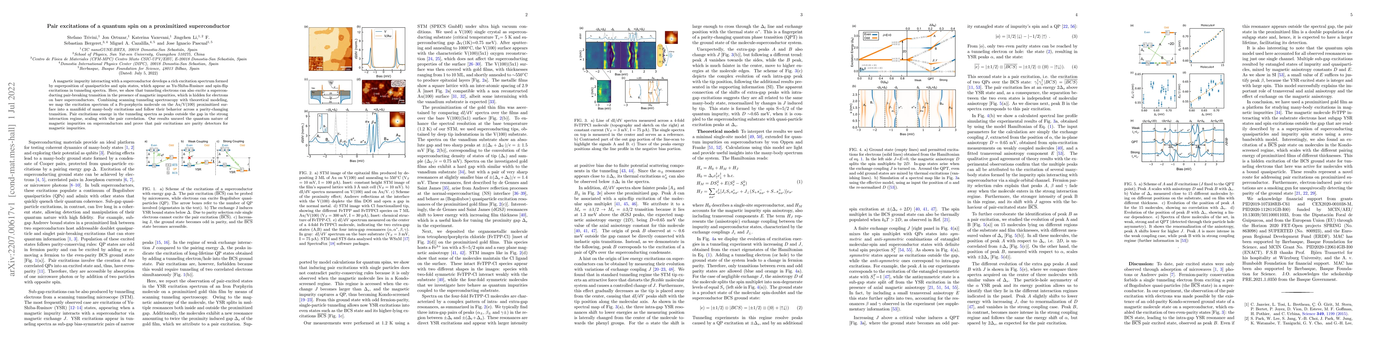 Thumbnail for Pair excitations of a quantum spin on a proximitized superconductor