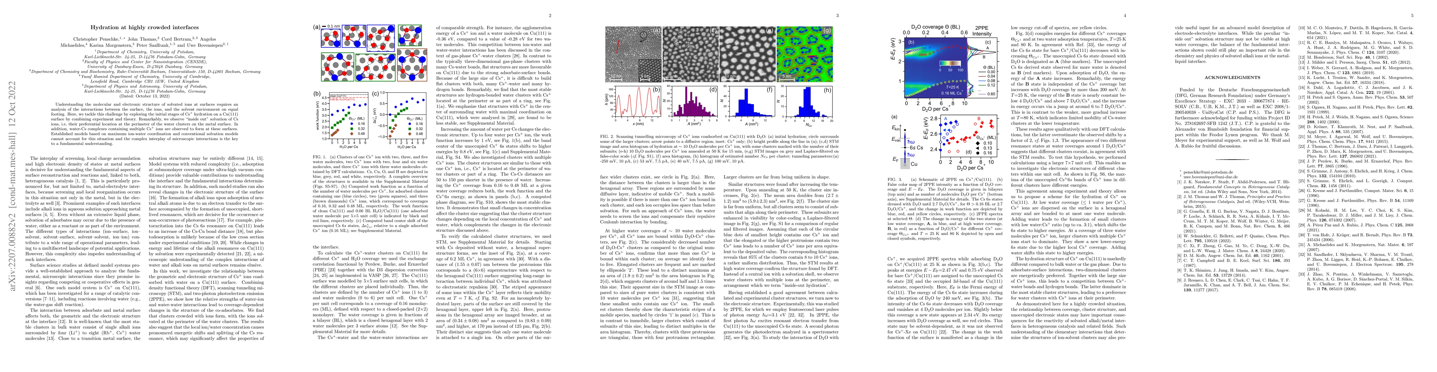 Thumbnail for Hydration at highly crowded interfaces