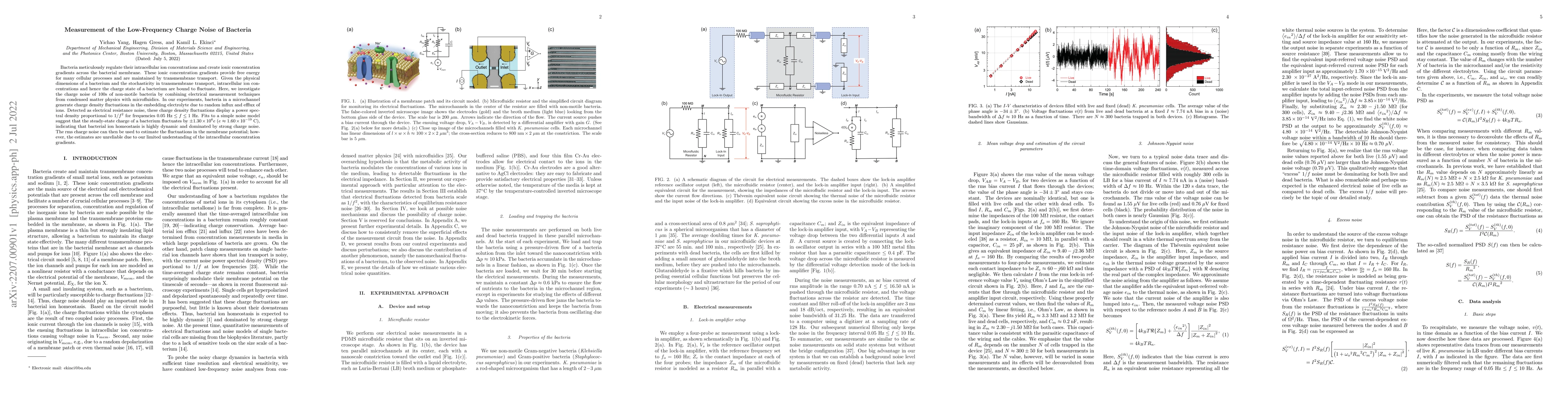 Thumbnail for Measurement of the Low-Frequency Charge Noise of Bacteria