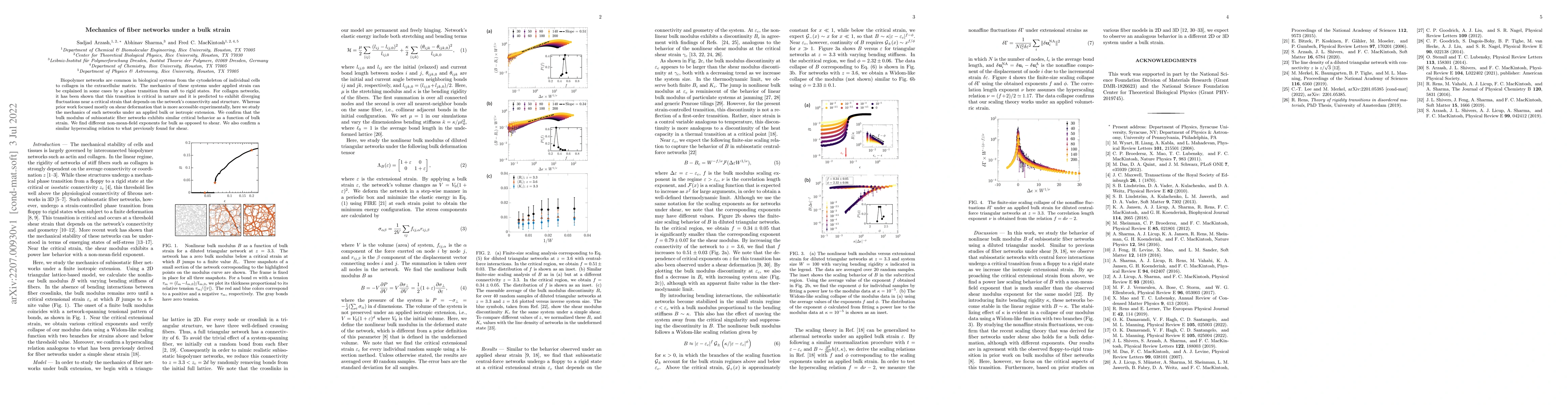 Thumbnail for Mechanics of fiber networks under a bulk strain
