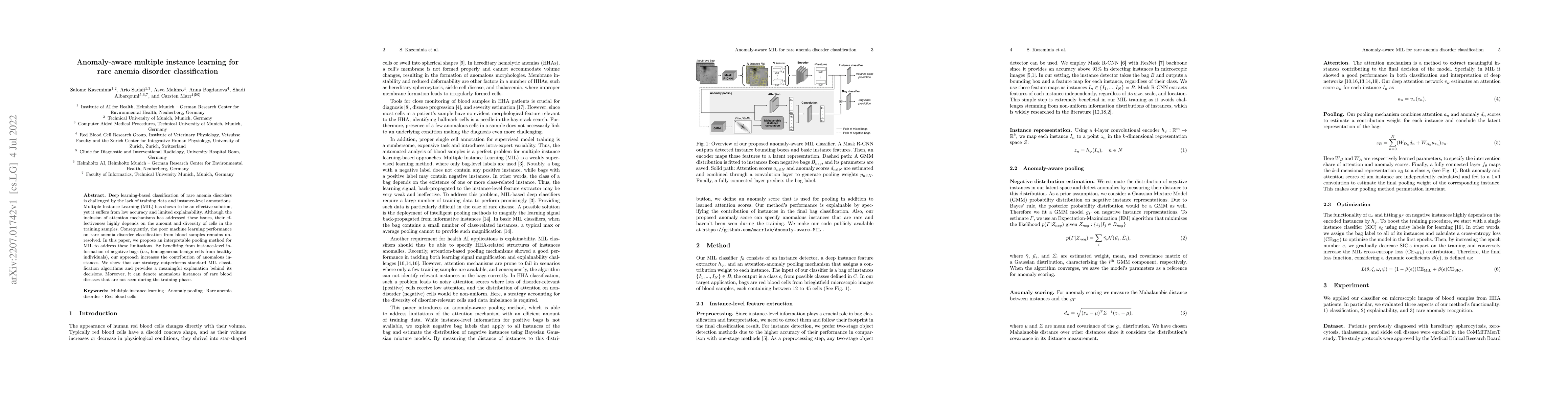 Thumbnail for Anomaly-aware multiple instance learning for rare anemia disorder
  classification