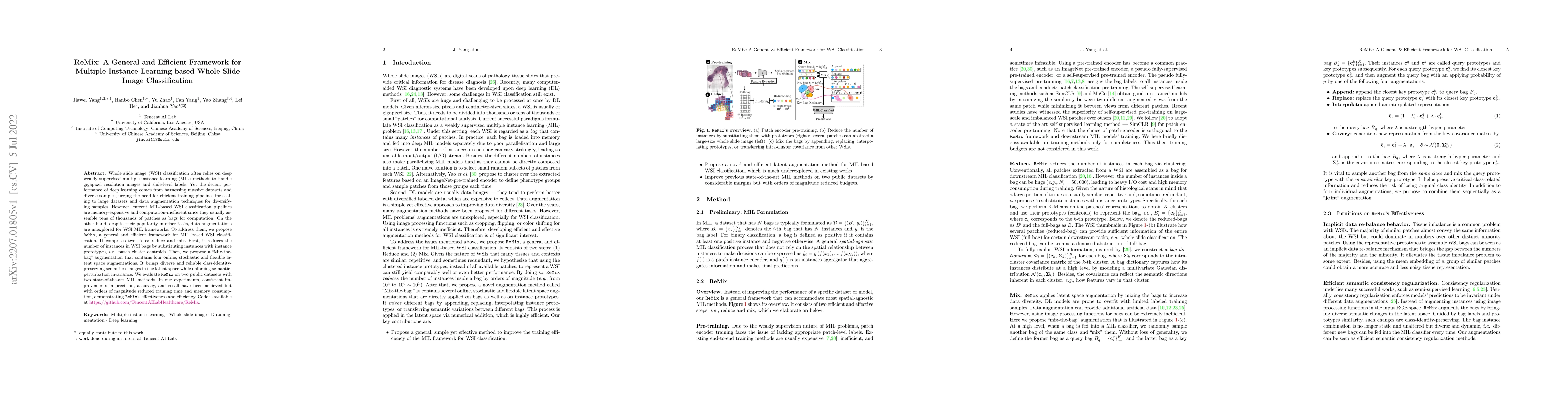 Thumbnail for ReMix: A General and Efficient Framework for Multiple Instance Learning
  based Whole Slide Image Classification