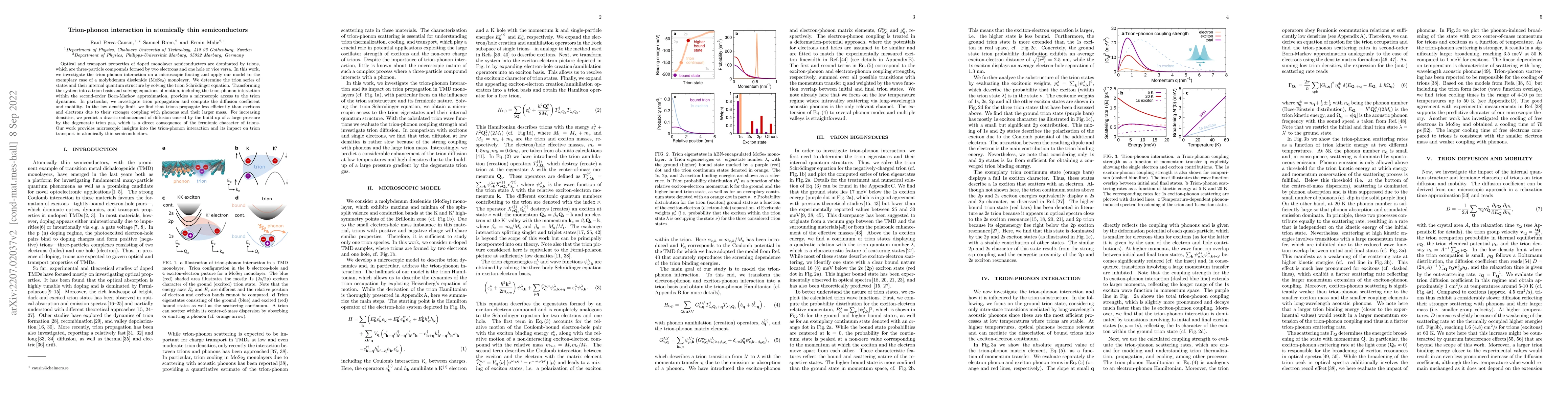 Thumbnail for Trion-phonon interaction in atomically thin semiconductors