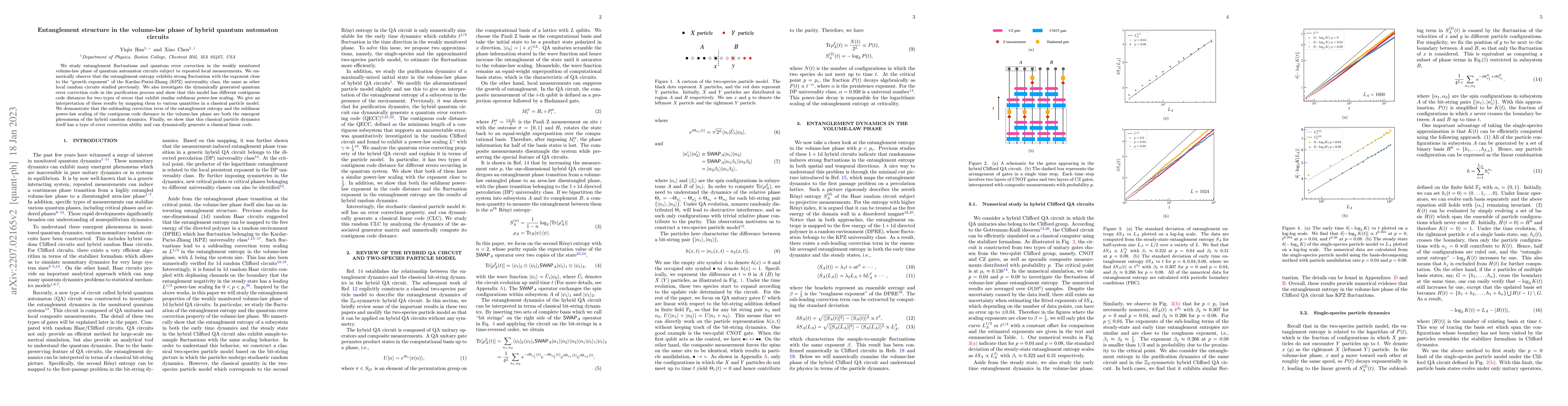 Thumbnail for Entanglement structure in the volume-law phase of hybrid quantum
  automaton circuits
