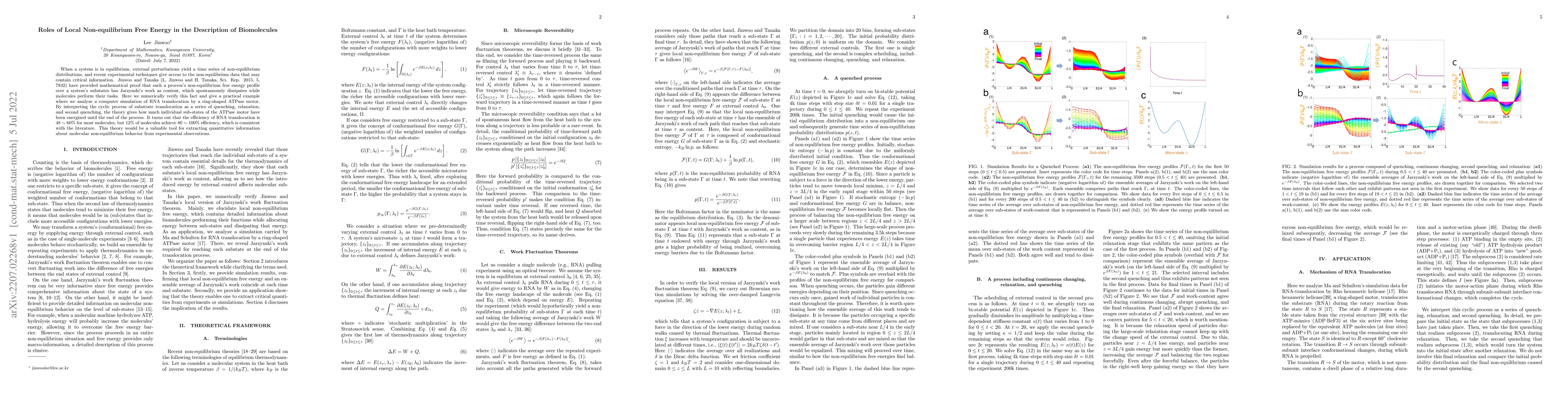 Thumbnail for Roles of Local Non-equilibrium Free Energy in the Description of
  Biomolecules