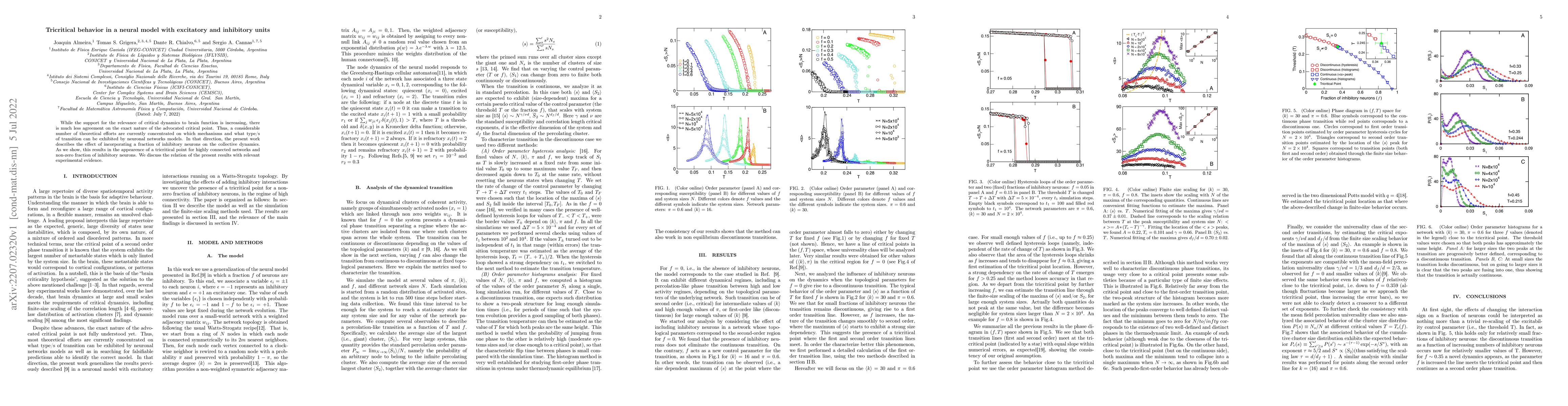 Thumbnail for Tricritical behavior in a neural model with excitatory and inhibitory
  units