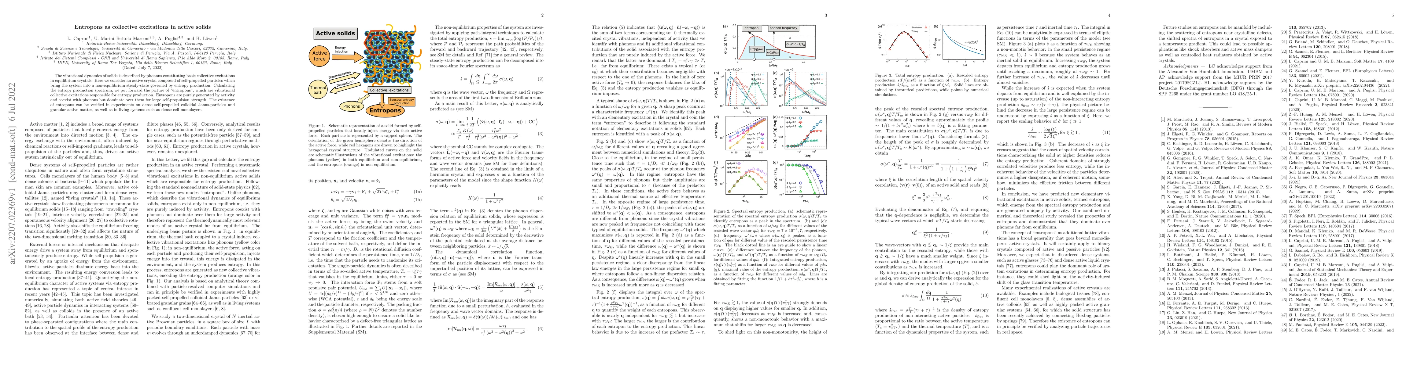 Thumbnail for Entropons as collective excitations in active solids