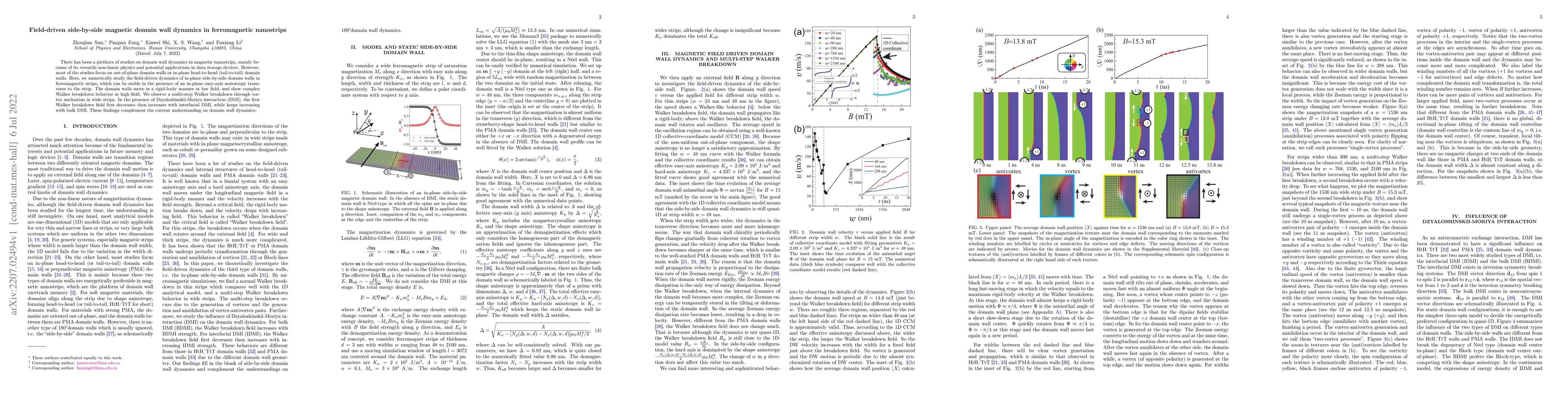 Thumbnail for Field-driven side-by-side magnetic domain wall dynamics in ferromagnetic
  nanostrips