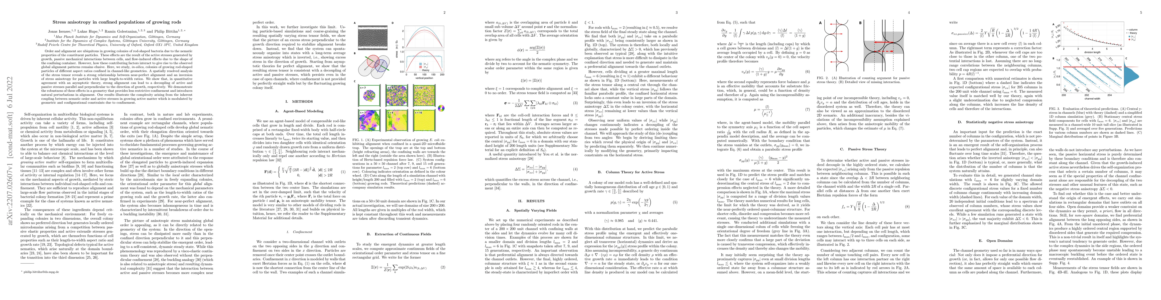 Thumbnail for Stress anisotropy in confined populations of growing rods