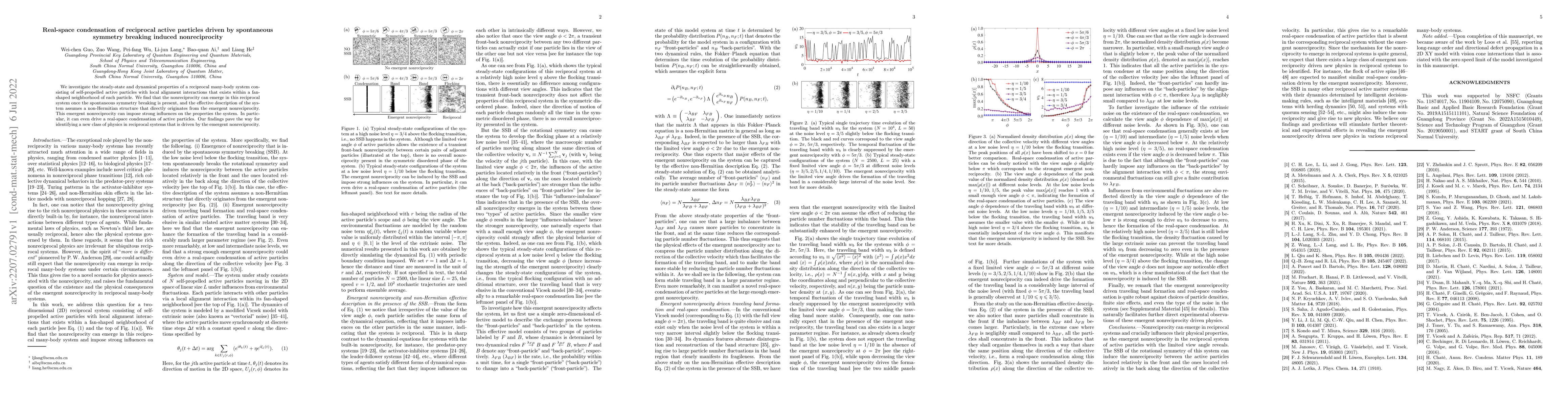 Thumbnail for Real-space condensation of reciprocal active particles driven by
  spontaneous symmetry breaking induced nonreciprocity