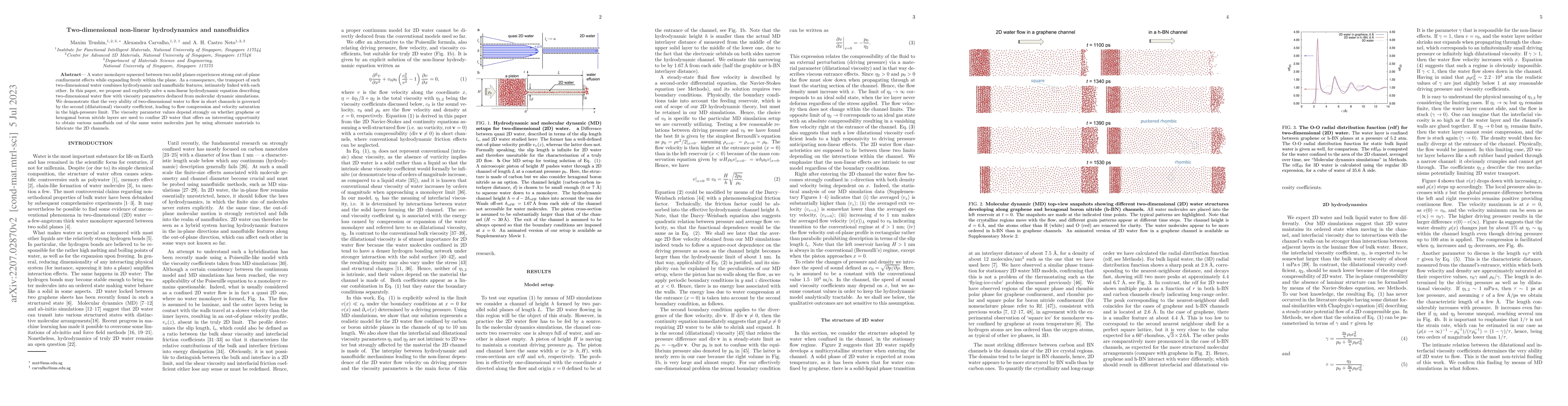 Thumbnail for Two-dimensional non-linear hydrodynamics and nanofluidics