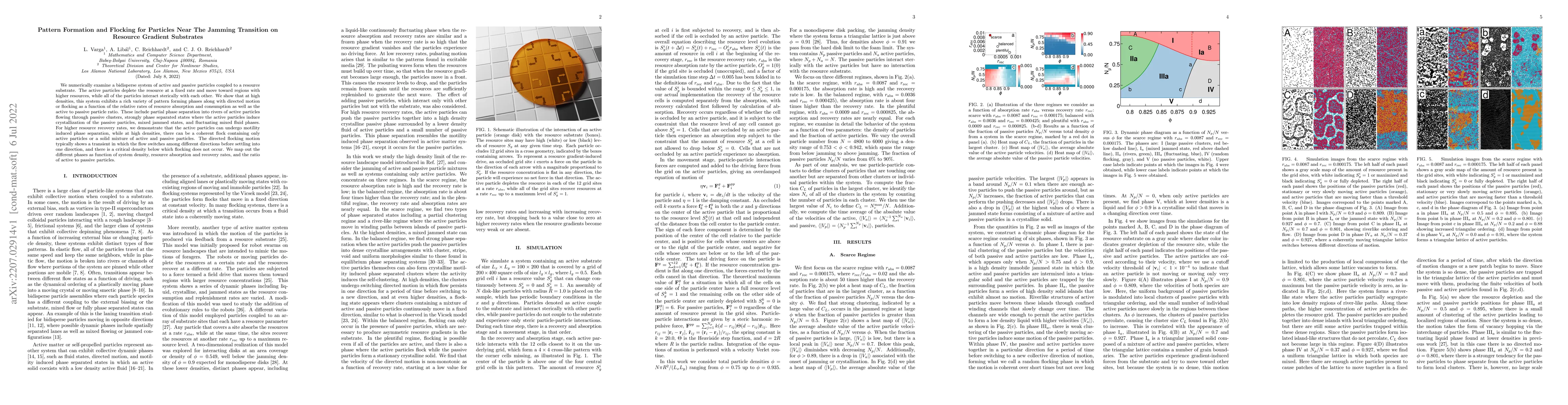 Thumbnail for Pattern Formation and Flocking for Particles Near the Jamming Transition
  on Resource Gradient Substrates