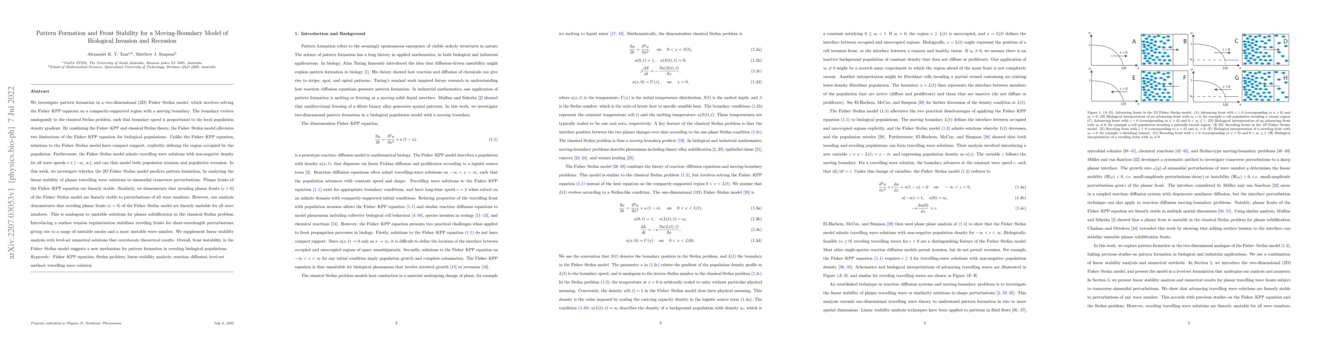 Thumbnail for Pattern formation and front stability for a moving-boundary model of
  biological invasion and recession