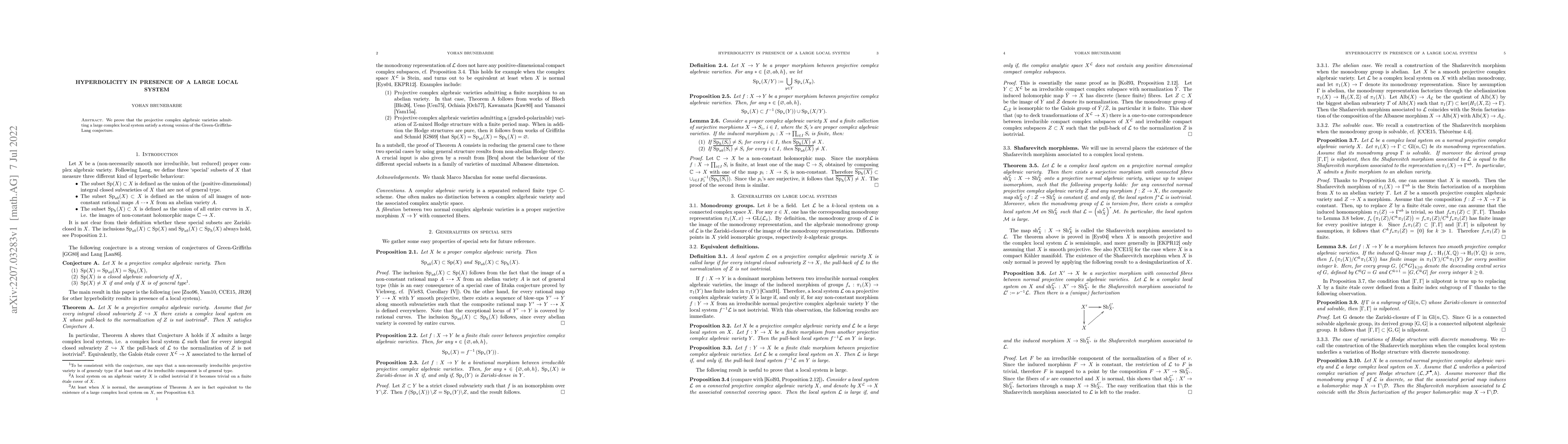 Thumbnail for Hyperbolicity in presence of a large local system