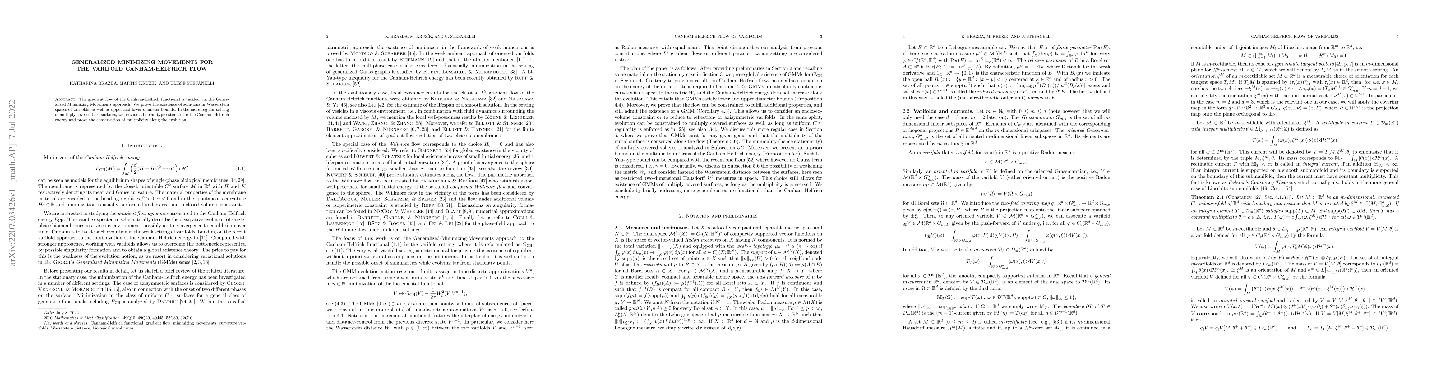 Thumbnail for Generalized Minimizing Movements for the varifold Canham-Helfrich flow