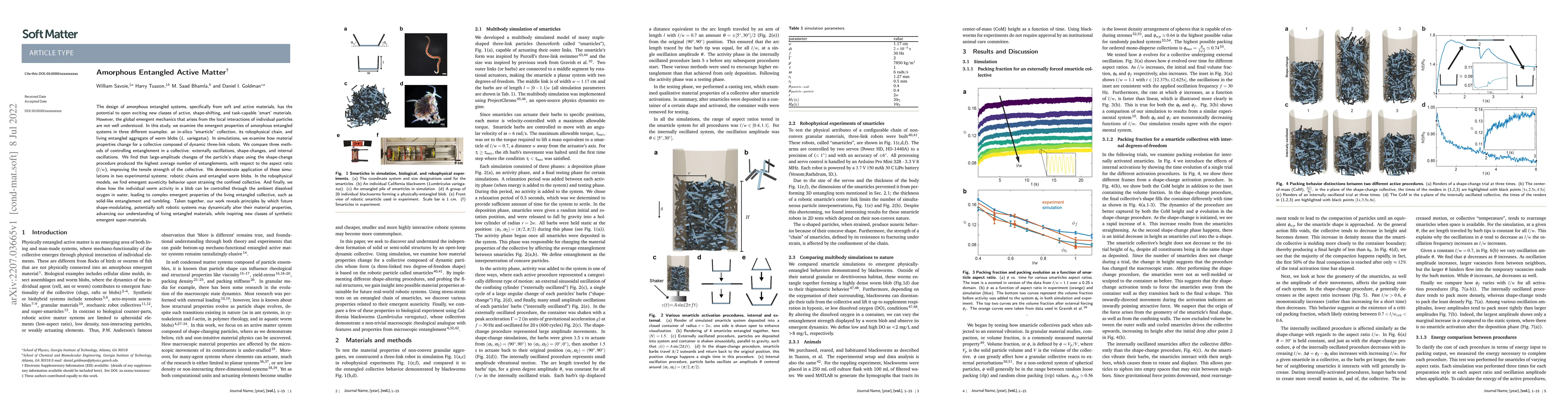 Thumbnail for Amorphous Entangled Active Matter