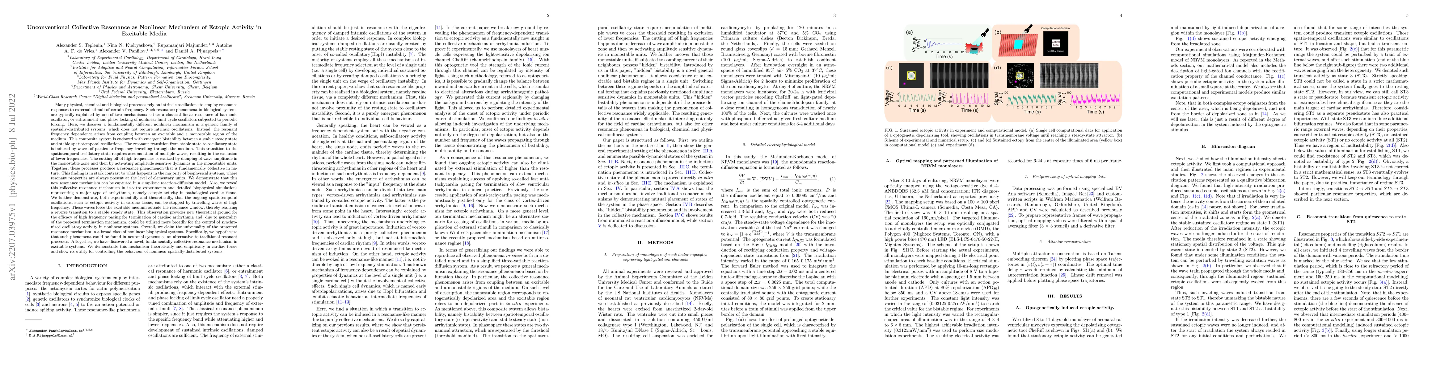 Thumbnail for Unconventional Collective Resonance as Nonlinear Mechanism of Ectopic
  Activity in Excitable Media