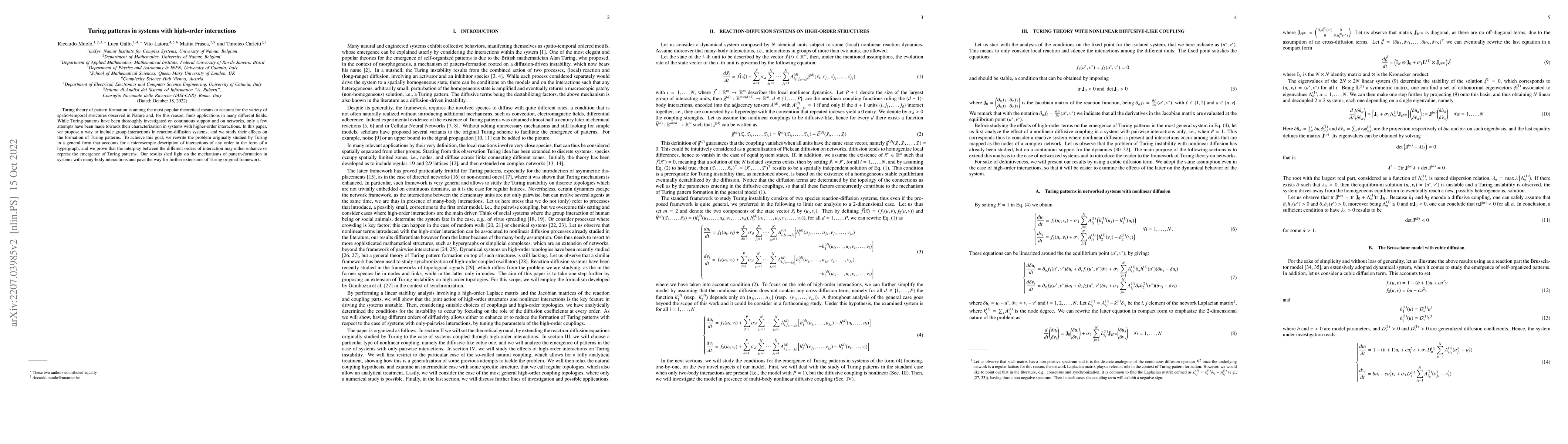 Thumbnail for Turing patterns in systems with high-order interactions