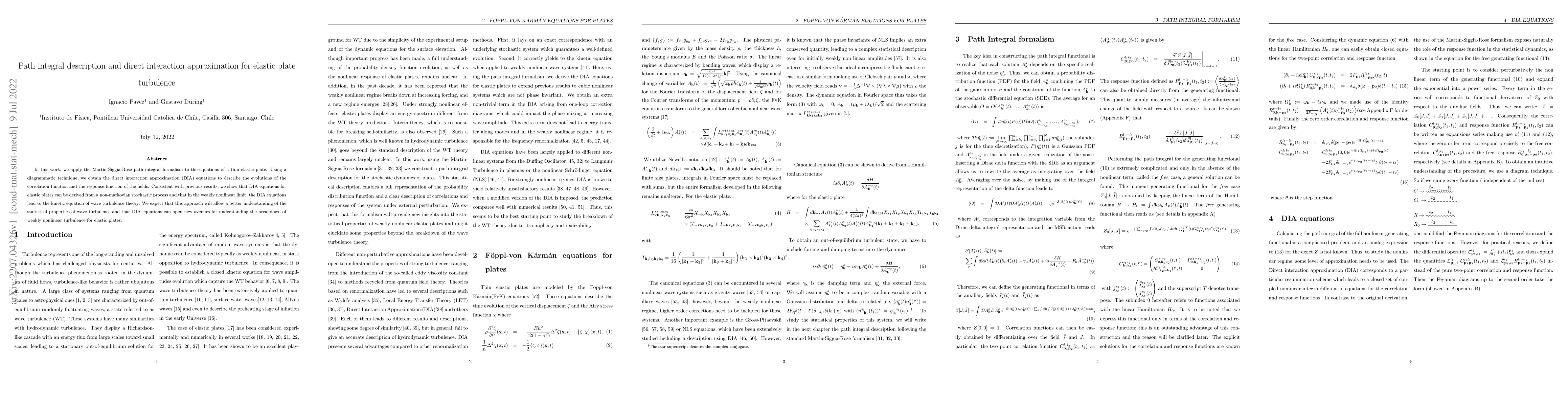 Thumbnail for Path integral description and direct interaction approximation for
  elastic plate turbulence