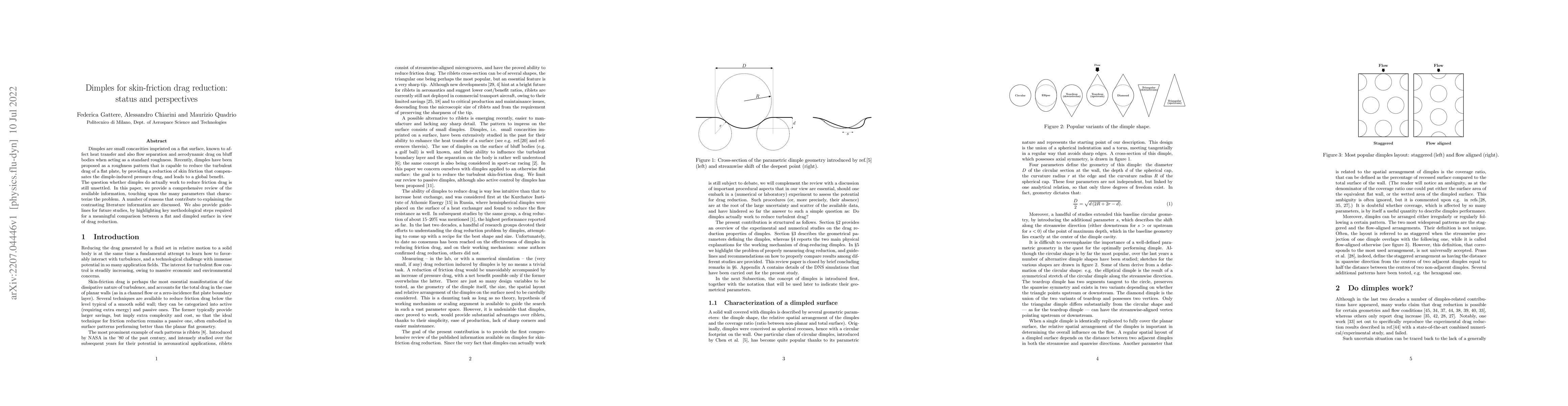 Thumbnail for Dimples for skin-friction drag reduction: status and perspectives