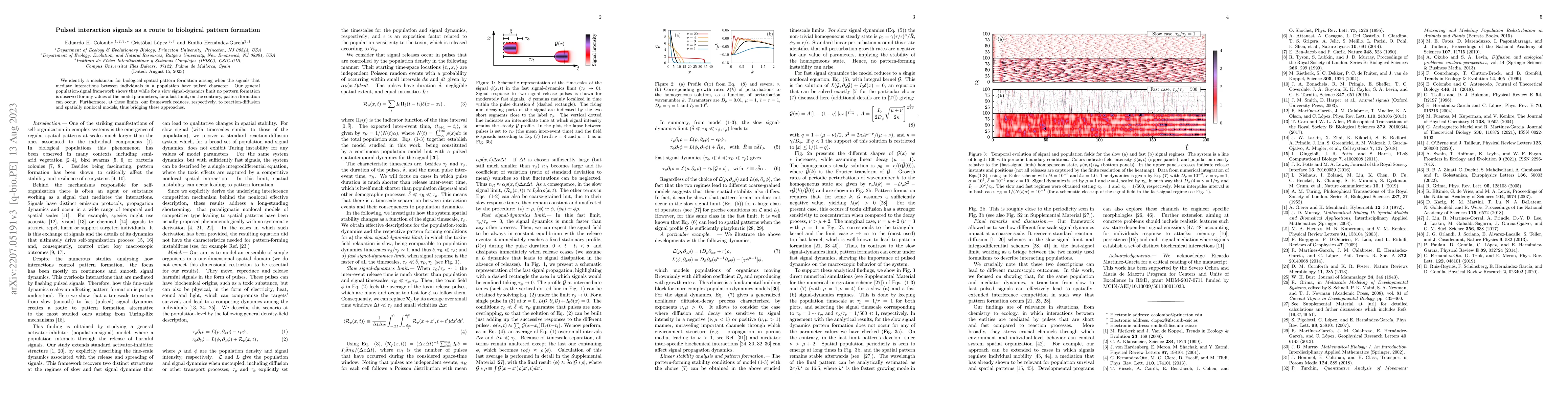 Thumbnail for Pulsed interaction signals as a route to biological pattern formation