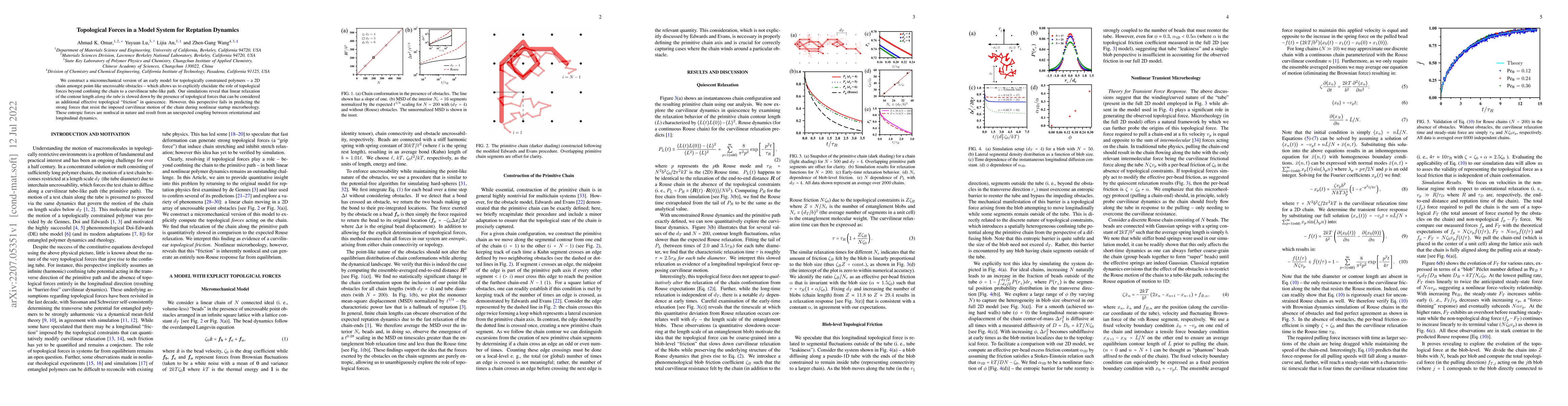 Thumbnail for Topological Forces in a Model System for Reptation Dynamics