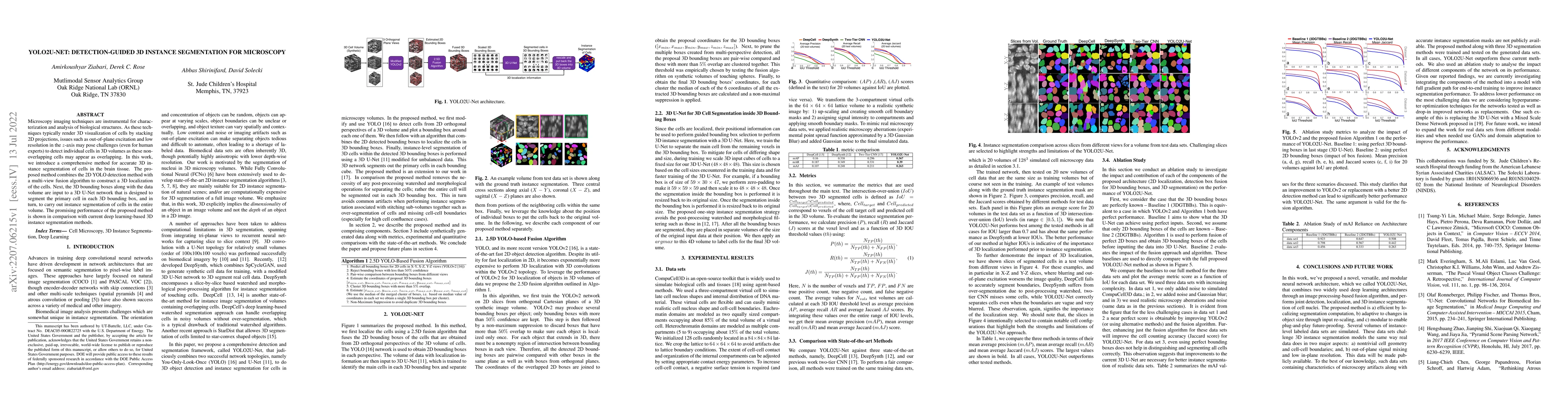 Thumbnail for YOLO2U-Net: Detection-Guided 3D Instance Segmentation for Microscopy