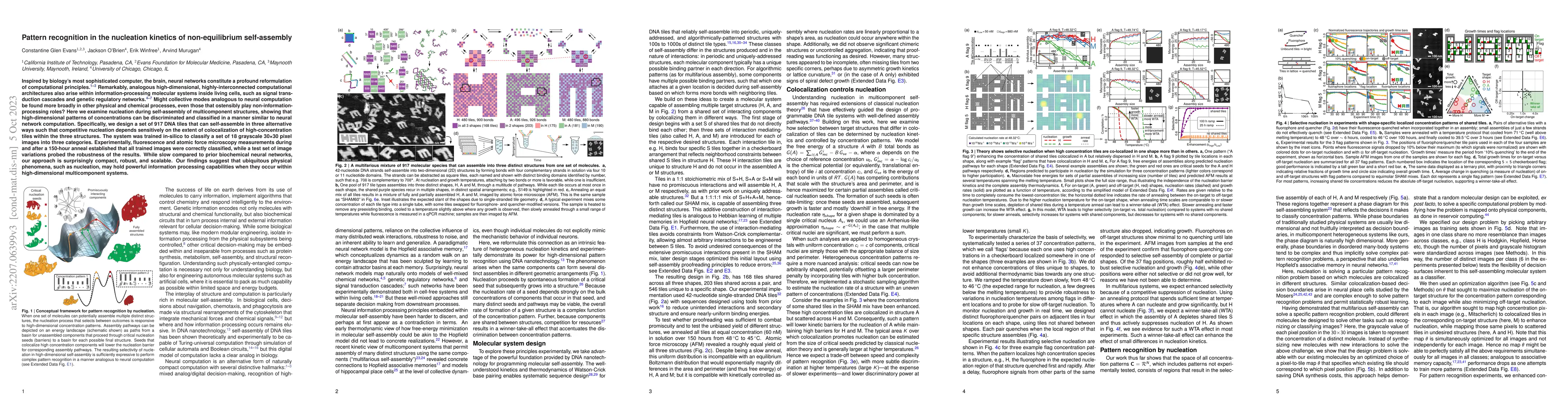 Thumbnail for Pattern recognition in the nucleation kinetics of non-equilibrium
  self-assembly